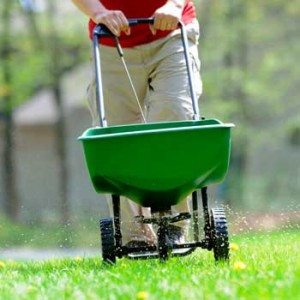 Lawn Fertilization & Weed Control